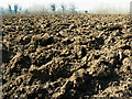 SU0380 : Ploughed field, Trow Lane, Tockenham by Brian Robert Marshall