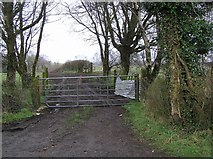 H5268 : Gate, Eskermore by Kenneth  Allen