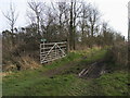 Footpath to Newington