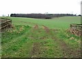 Farmland near Ashley