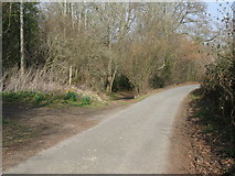 TQ0219 : Bridleway branching off country lane by Dave Spicer