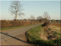 TL7051 : Part of Broad Road near to Wadgell's Farm by Robert Edwards