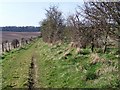 Bridleway, Blackbush Down