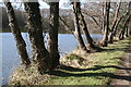 Cuttmill Pond, Puttenham Common, Surrey