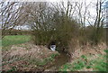 A stream south of Denstroude Lane