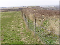 TA1575 : Clifftop Path (Headland Way) by JThomas