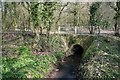 Tributary Bridge