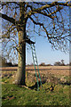 Deer culling platform, Little Saxham