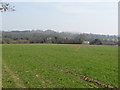 View across field to Pallingham Quay Farm