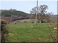 Field near Chudleigh