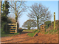 Bridleway near Owls Hill Farm