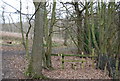 TR1162 : Stile at the western edge of Clowes Wood by N Chadwick