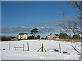 Field and houses along Lon Groes on a snowy day