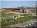 Halberton Court Farm Shop