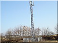 Mobile telephone mast