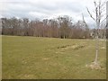 Recreation Ground, Ancells Farm