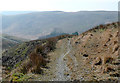 Bridleway to Bryn Ambor, south-east of Nant Gwernog, Ceredigion