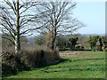 SN6055 : Farmland south-east of Llwyn-y-Groes, Ceredigion by Roger  D Kidd