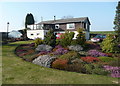 A fine show of heathers at The Farl