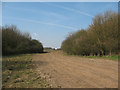 Clearing above the motorway