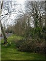 Highcliffe, Shelley Copse