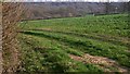 Large field near Salmonsbridge Farm