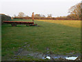 Field and a few rooks, near Broad Town