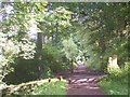 Footpath near Thornhill