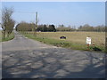 Road leading to Maple Tree farm