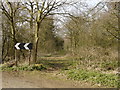 Bridleway leading to Maple Tree farm