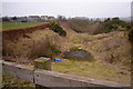 View of the Dismantled Railway leading to Forfar