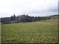 View towards Beldorney Castle