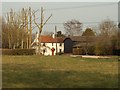 A view of Levens Green Farm as seen across the green