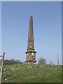 SO9281 : Obelisk on Wychbury Hill by John M