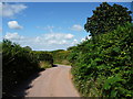 Mid Devon : Barton Hill Country Road