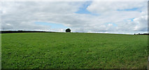 SS9719 : Mid Devon : Field & Countryside by Lewis Clarke