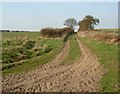 Sandy byway to Stone Hill Lane