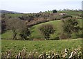 Valley near Trusham