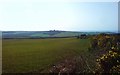 SM8922 : Across fields to Roch Castle and St Bride's Bay by Deborah Tilley