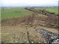 SK4160 : Morton Colliery Plantation - Footpath View by Alan Heardman
