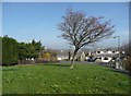 Green strip off Amport Close, Rastrick