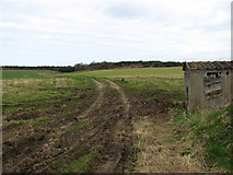 TG2737 : Farm track to Heath Lane by Evelyn Simak
