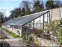 TR3068 : Victorian lean-to greenhouse in the walled garden at Quex Park by pam fray