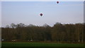 Weald Barkfold Copse near Plaistow, West Sussex