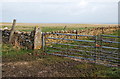 ND3753 : Stone dyke and gates by Ian Balcombe