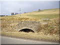 Old bridge over Oldmanse Burn