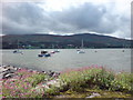 The South from Warrenpoint across the lough