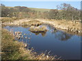 Small lake near Grasslees Burn