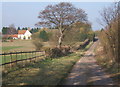 Towards Whiteshill Farm