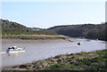 Flotilla of boats